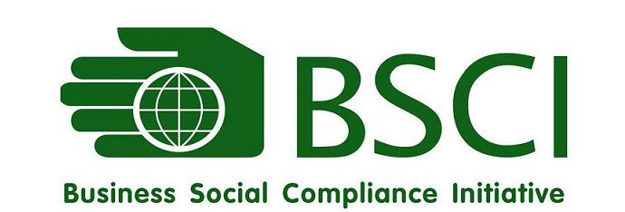 BSCI验厂审核流程示意图